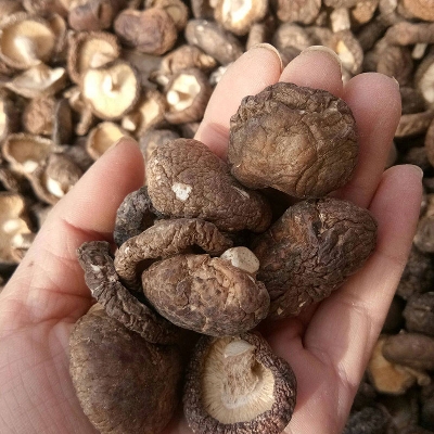 干香菇1×200g