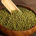 毛绿豆