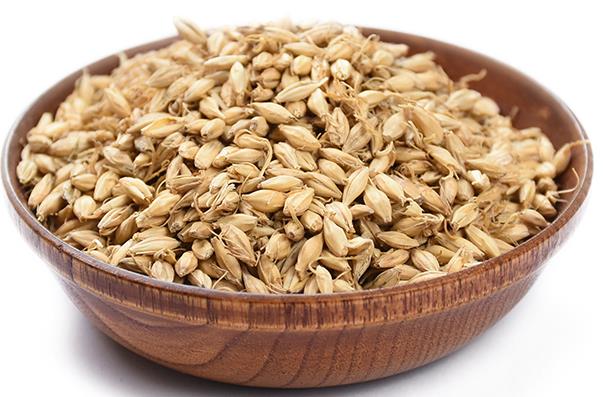 麦芽的功效与作用