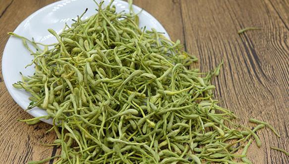 金银花的功效与作用