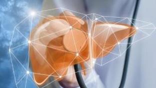 护肝养肝5种健康食谱