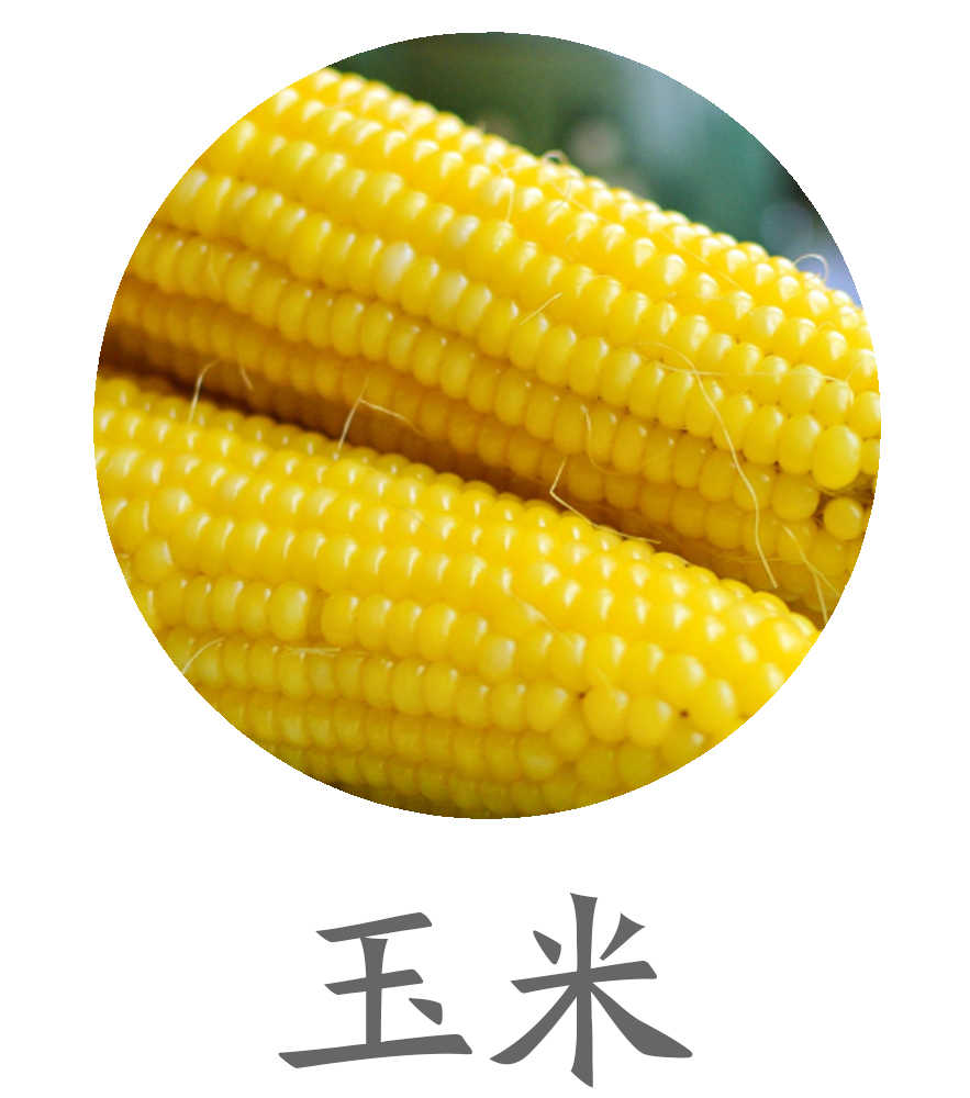 玉米