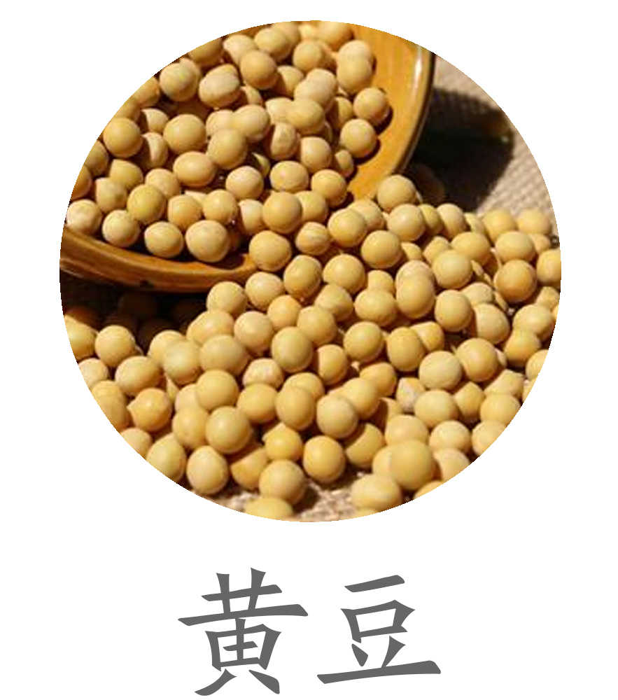 黄豆