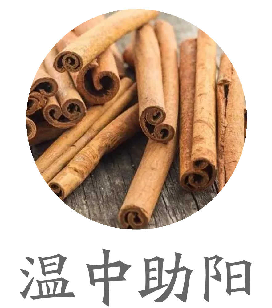 温中助阳