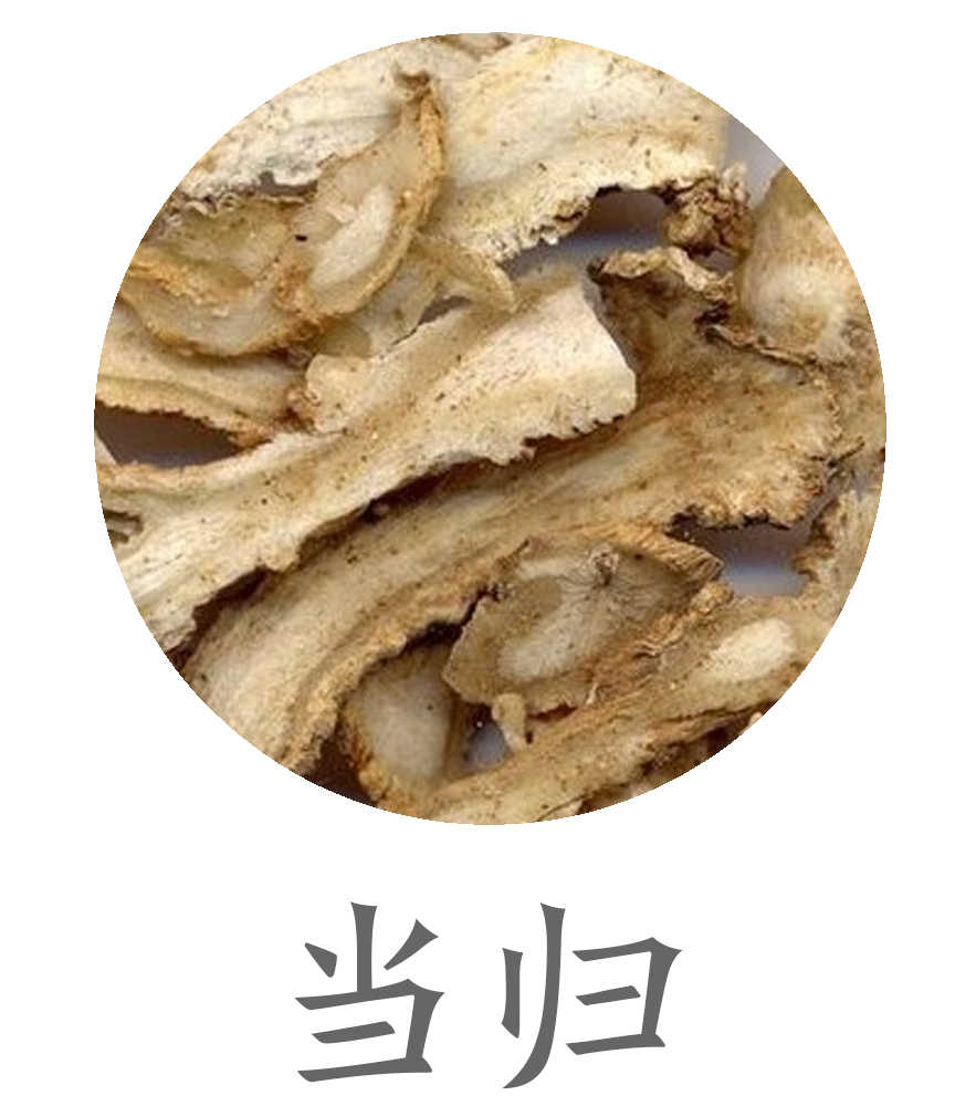 当归