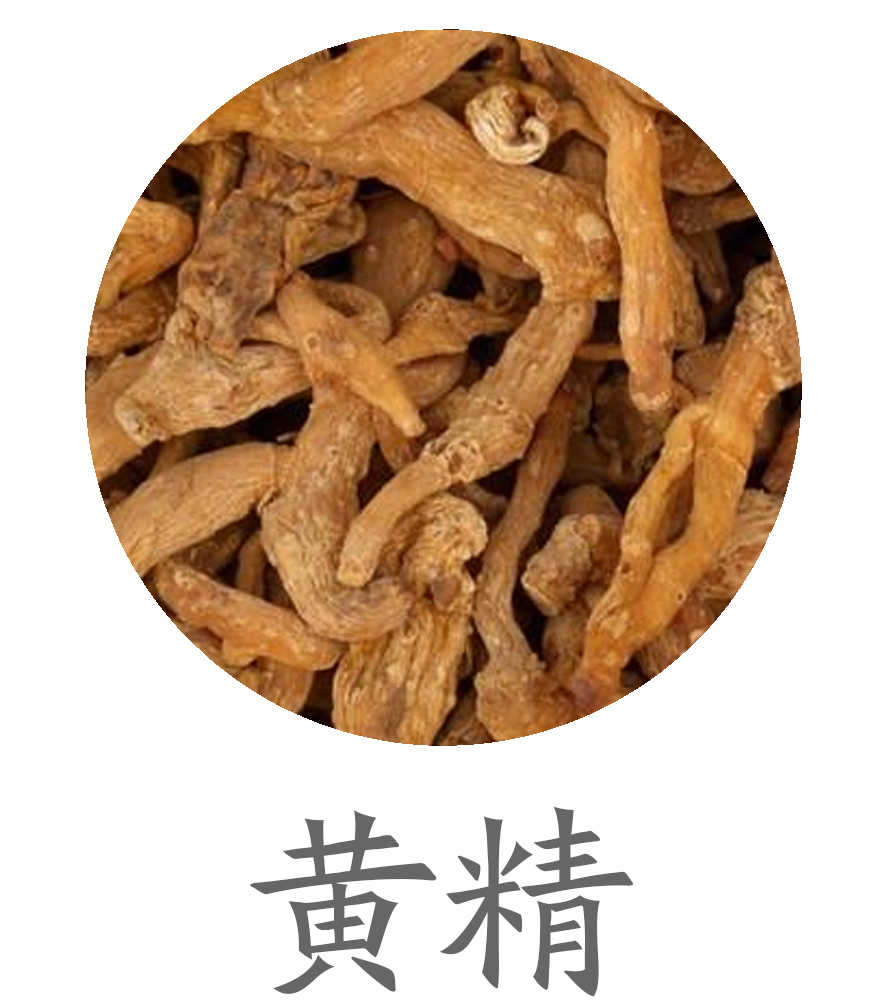 黄精