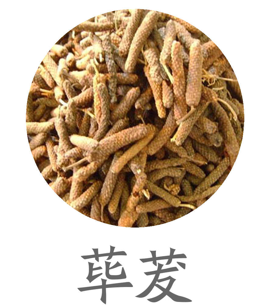 荜茇