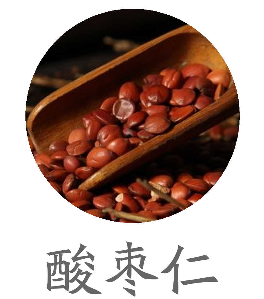 酸枣仁