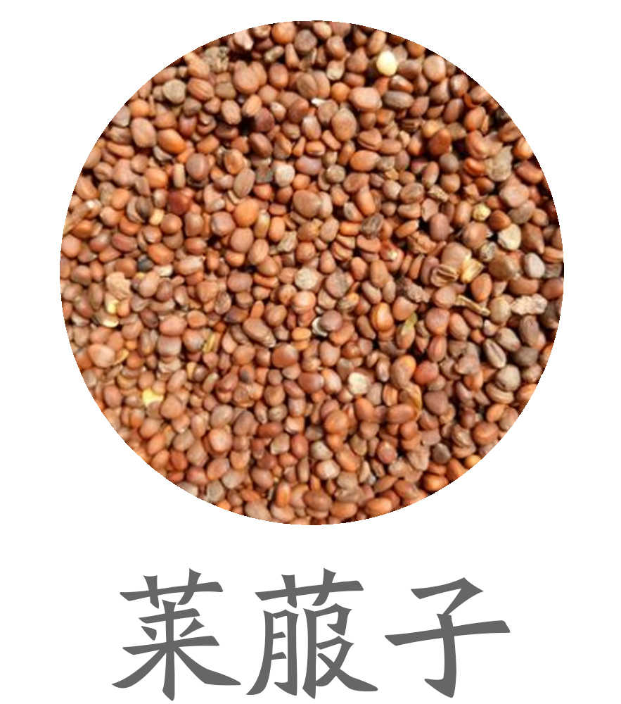 莱菔子