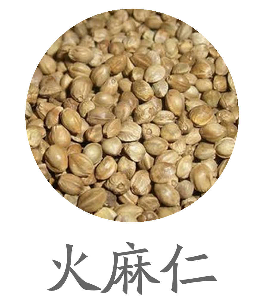 火麻仁