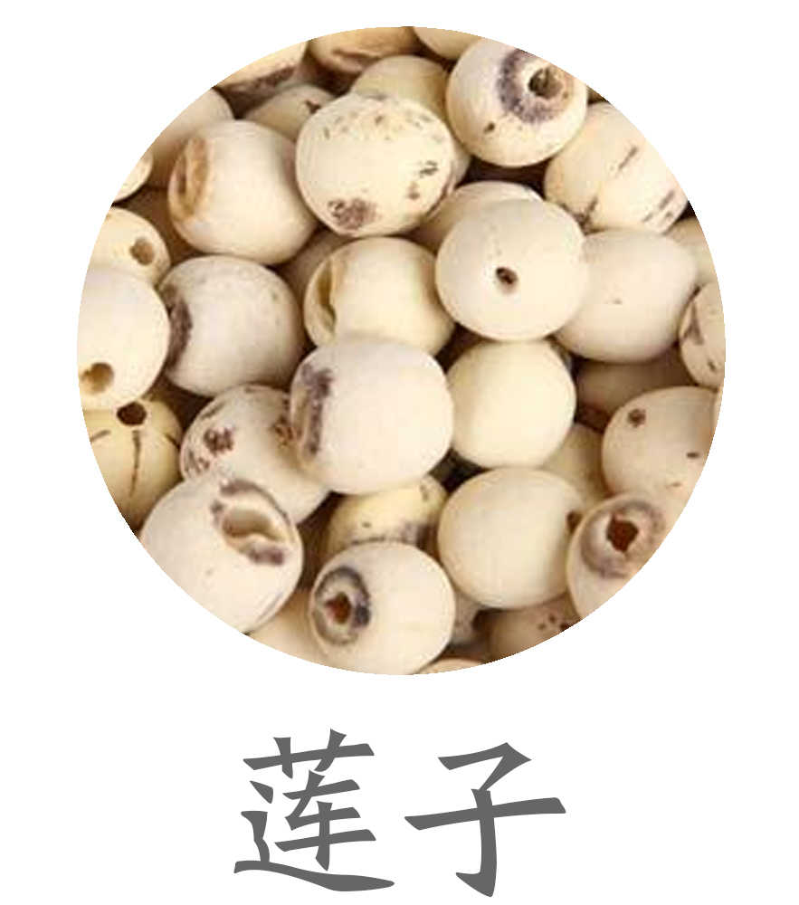 莲子